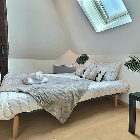 Le Travel - Appartement Equipe Proche Centre Et Yschools تروي المظهر الخارجي الصورة